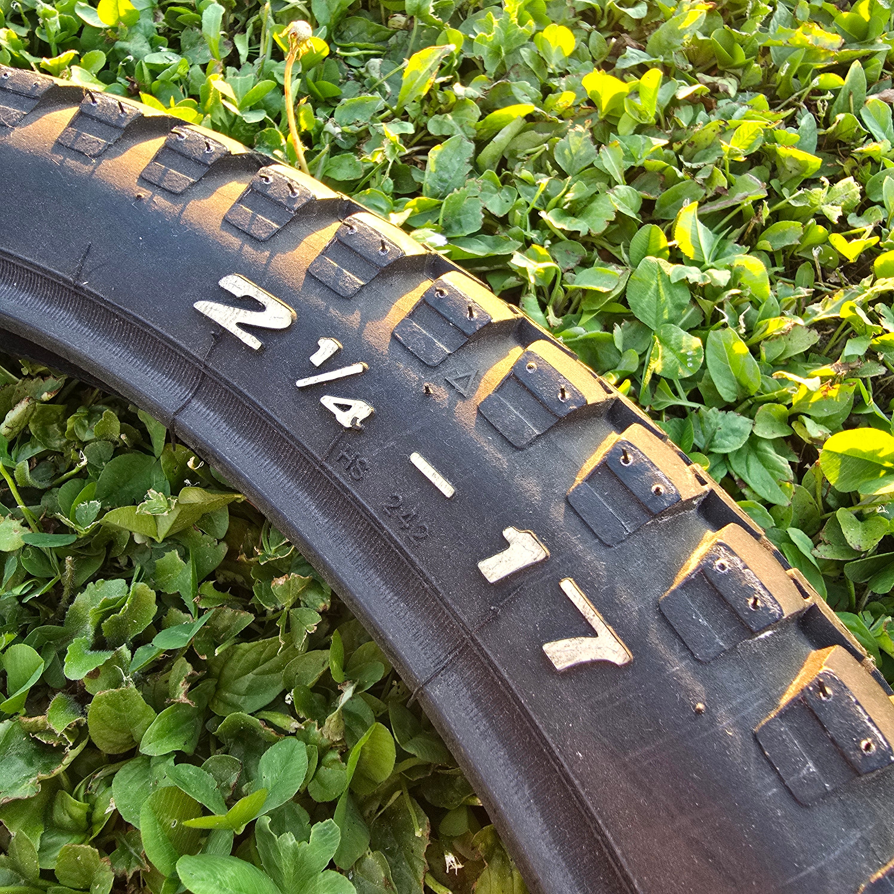 PNEUMATICO SWALLOW ROADSTER PER PIAGGIO CIAO 2¼ 17